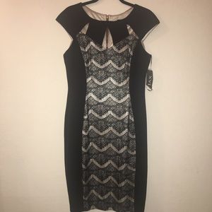 JAX Cocktail dress black beige Sz 10 NWT